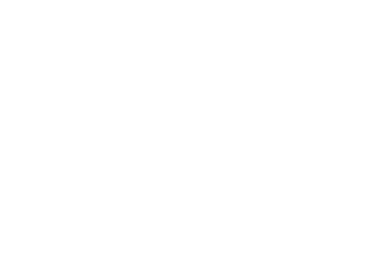 Axel Zoll fehér logó – vámügyintézés, T1, import, export, áfa átvállalás – Vambroker.hu
